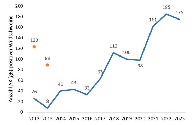 Anzahl AK (gB) positiver Wildschweine